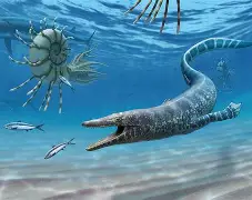 h?(Oz棽E3U闅沧4衸?,EX錒*粉w淪尼瀆貂臱恬紸M犥x膵?*q?常的简单介绍